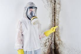 Best Mold Removal for HVAC Installations  in Renville, MN